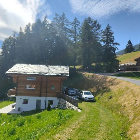 Chalet Matterhornsicht Naters Kültér fotó